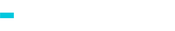 A logo with the letters "SOX" in a modern, bold, light gray font on a white background. A short, solid cyan bar appears to the left of the letters.