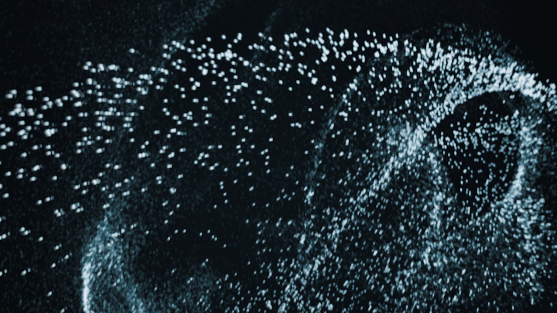 starmatter-data