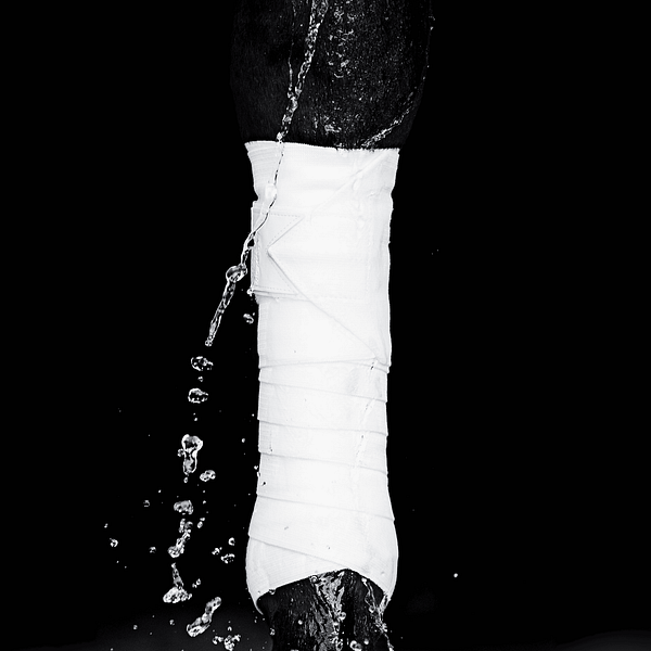 Equine Circulation Exercise Bandages - Pintelit (pari) - Valkoiset - Image 3