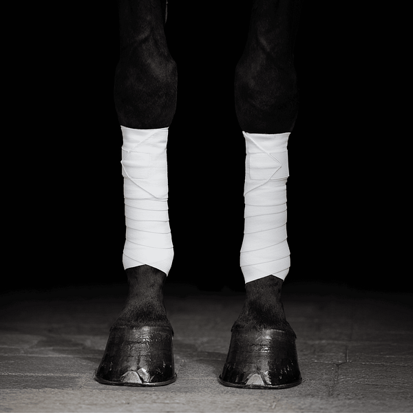 Equine Circulation Exercise Bandages - Pintelit (pari) - Valkoiset - Image 4