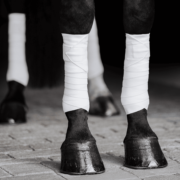 Equine Circulation Exercise Bandages - Pintelit (pari) - Valkoiset - Image 6