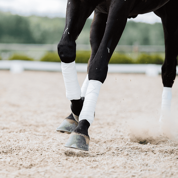 Equine Circulation Exercise Bandages - Pintelit (pari) - Valkoiset - Image 7