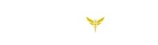Logo with the text "STINGFORCE" in bold, white letters. Above the text is a stylized, yellow geometric design resembling a bee or wasp with a cyan detail. The background is black.