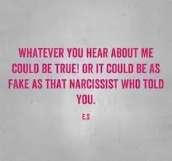 Text on a gray background reads: "WHATEVER YOU HEAR ABOUT ME COULD BE TRUE! OR IT COULD BE AS FAKE AS THAT NARCISSIST WHO TOLD YOU. E.S" in pink letters.
