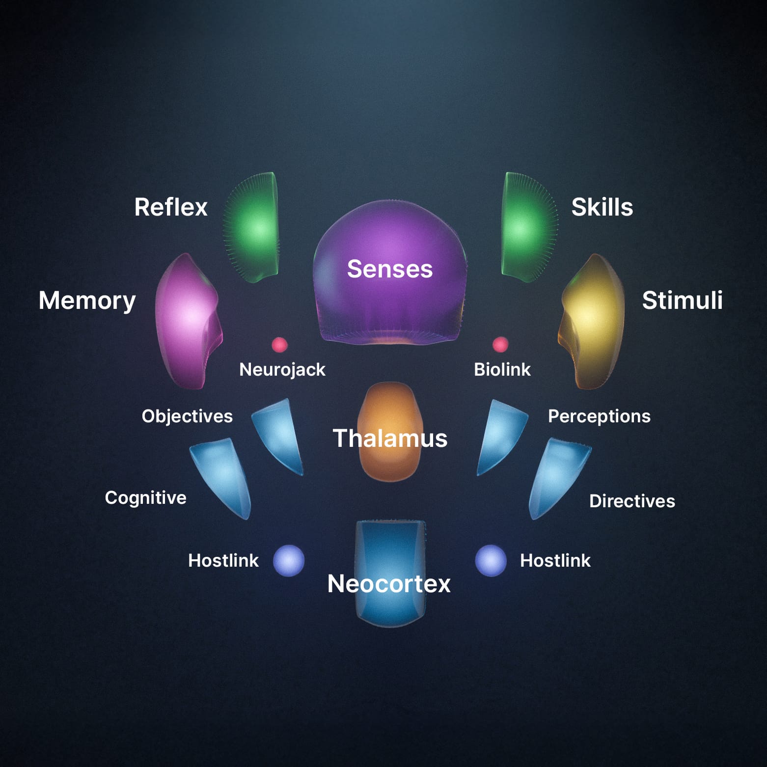 A diagram of brain functions with labeled colored sections: Reflex, Skills, Memory, Senses, Stimuli, Neurojack, Biolink, Objectives, Thalamus, Perceptions, Cognitive, Directives, Hostlink, and Neocortex.