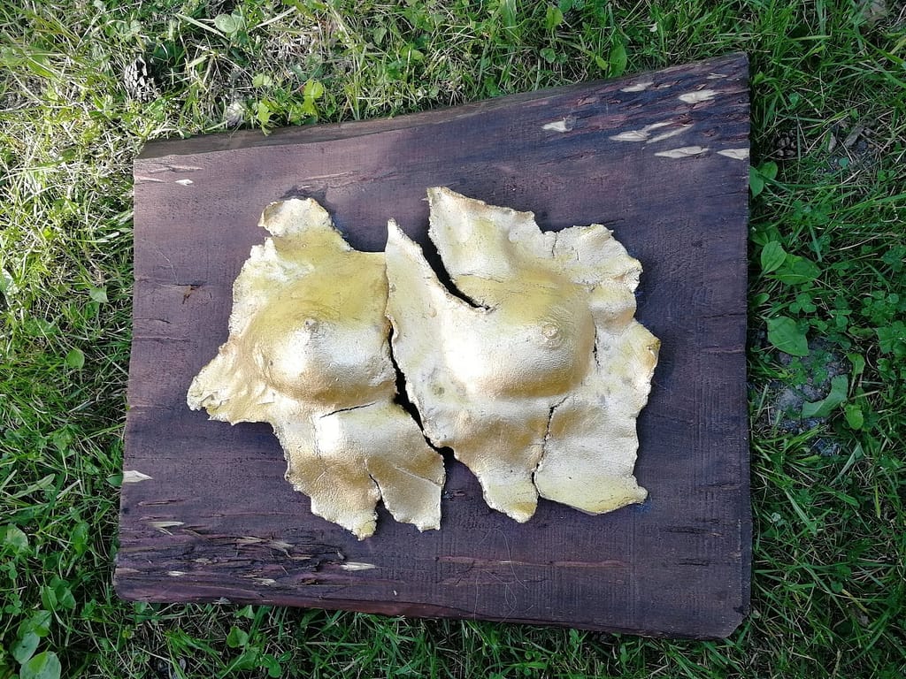 Breasts sculpture on a wooden board outside