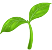 Simple illustration of green plant seedling with two leaves