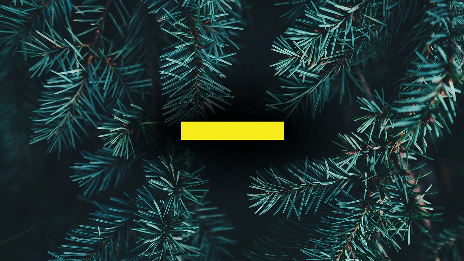 Fortaco-social-share-14.5.25-3