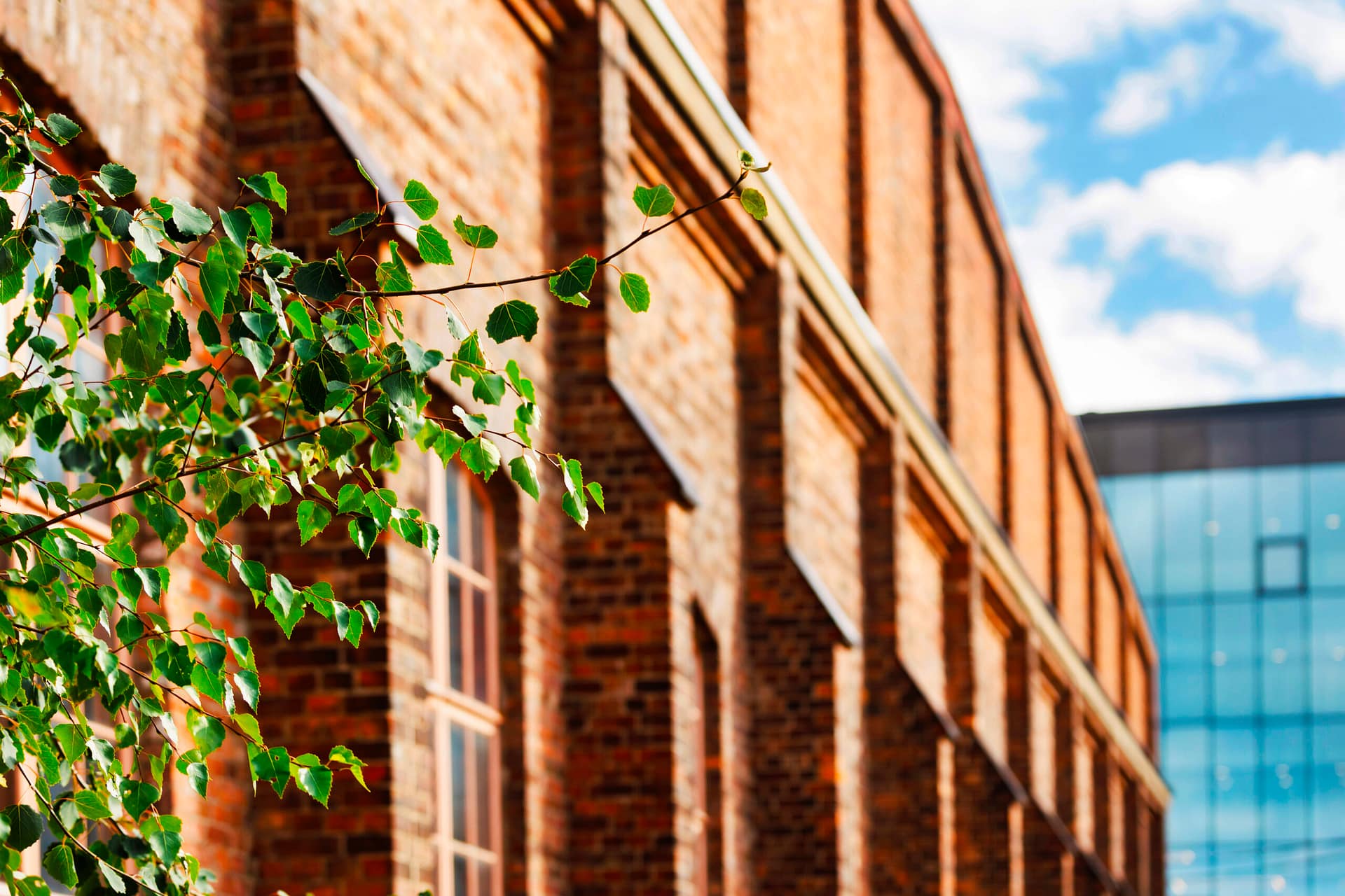A branch with green leaves in the foreground, with a blurred background of a brick building and a modern glass building under a partly cloudy sky.
