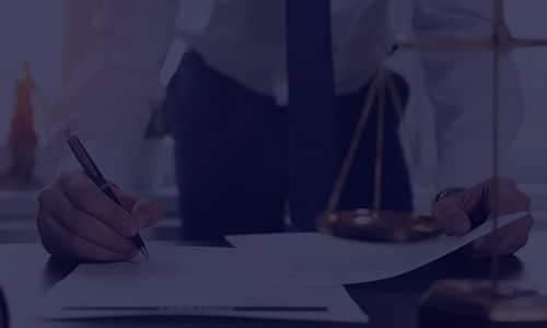 litigation assistance