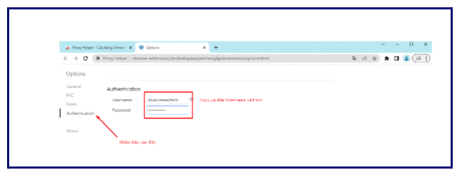 leaked information on Intelx