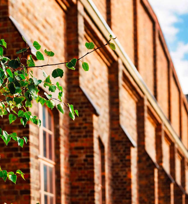 Sunlit brick building with tall windows and architectural details, seen from a low angle. Green leafy branches are visible in the foreground on the left, with a blue sky and clouds in the background.