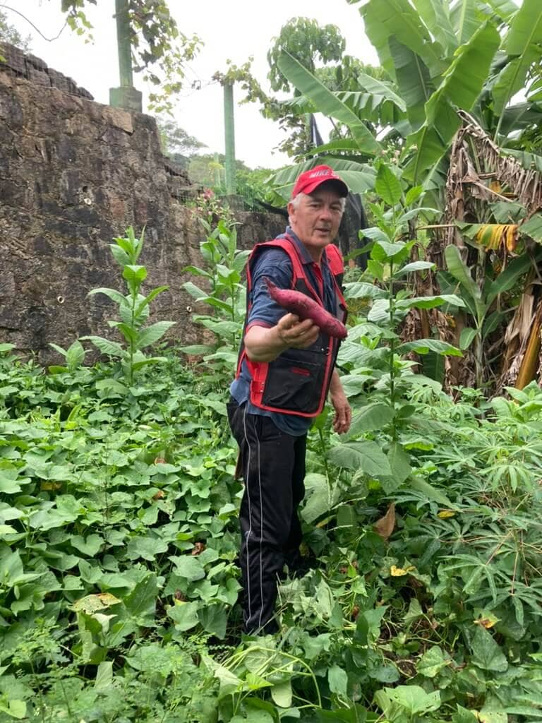 A man in a red vest standing in a field of plants.