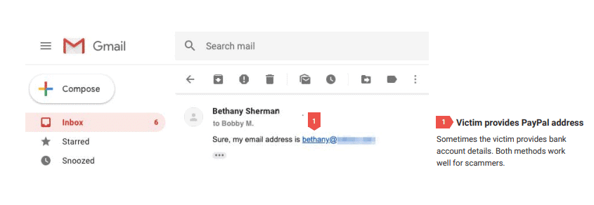 Give fake paypal details